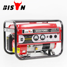 Bison Taizhou 3.0kw Gasoline & Lpg Generator with Key Start